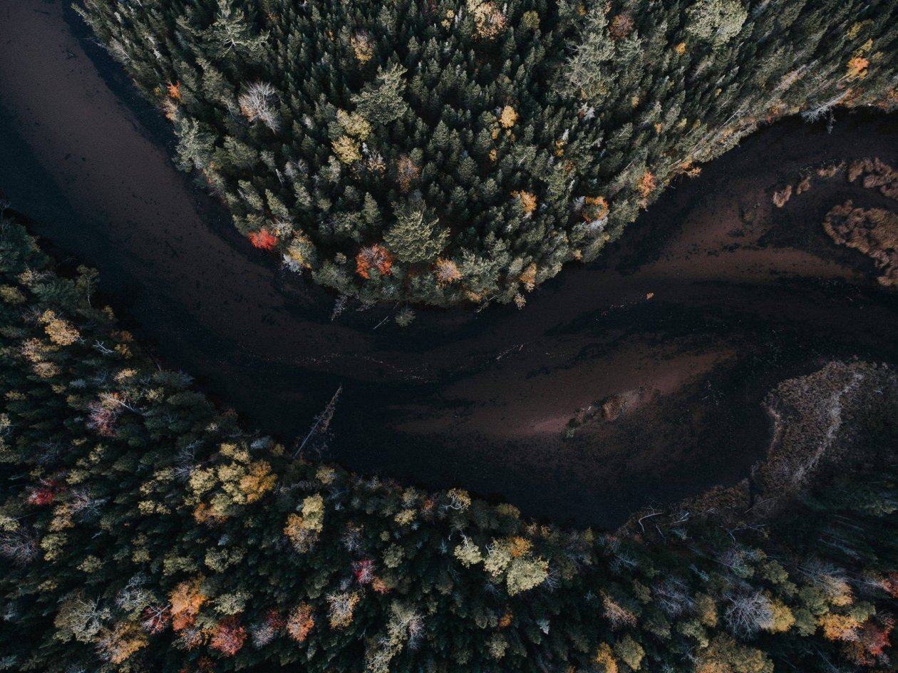 Aerial View Autumn Trees