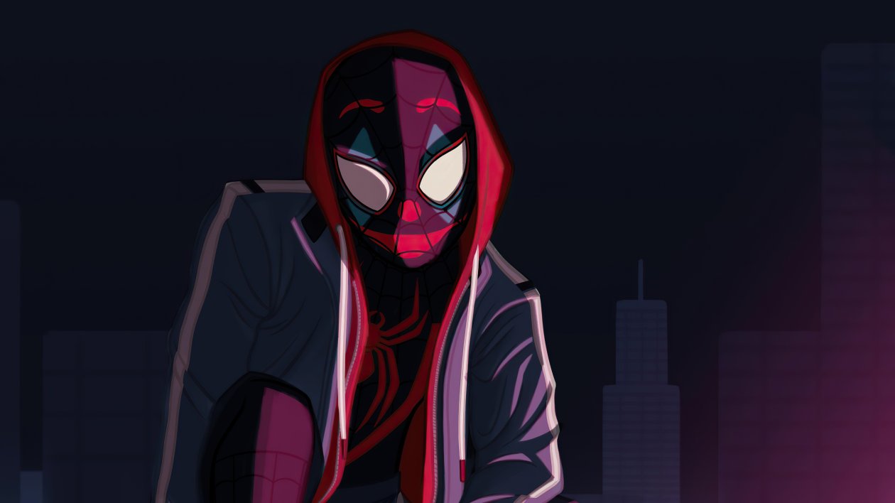 Spider Man Hoodie Boy