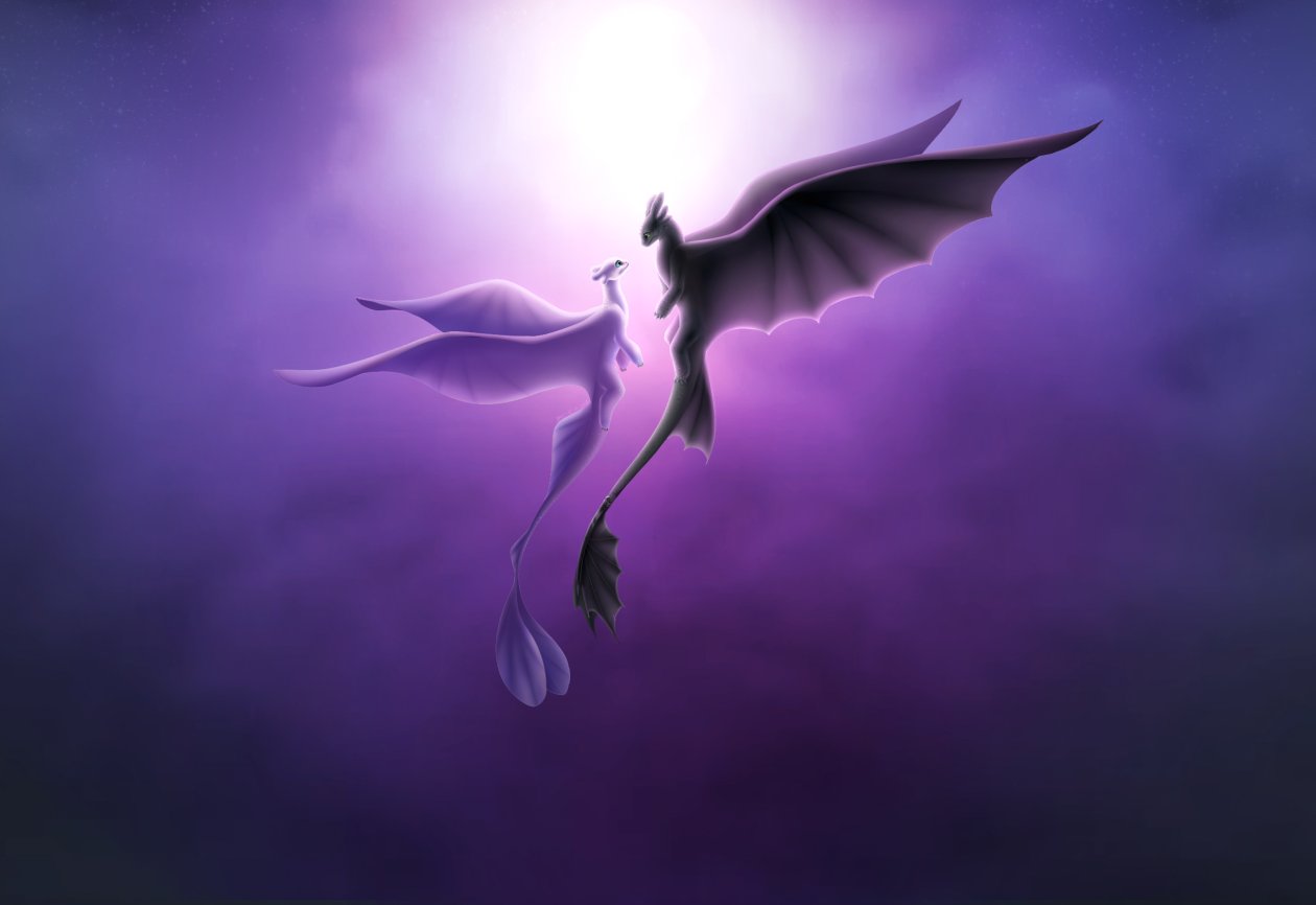 Toothless And Light Fury Romantic Love