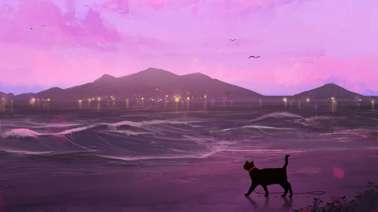 Cat Beach Silhouette