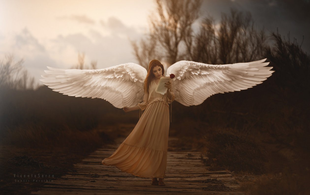 Girl With Wings Angel