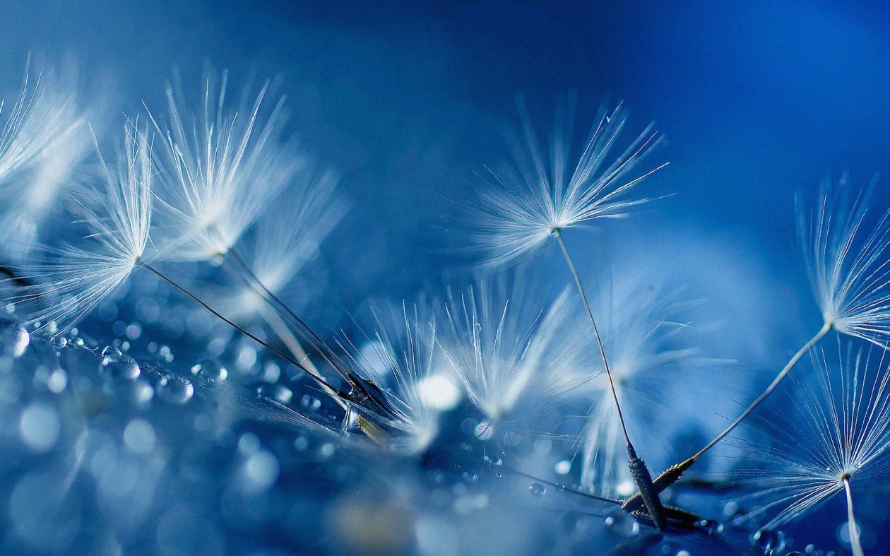 Blue Drops Full HD