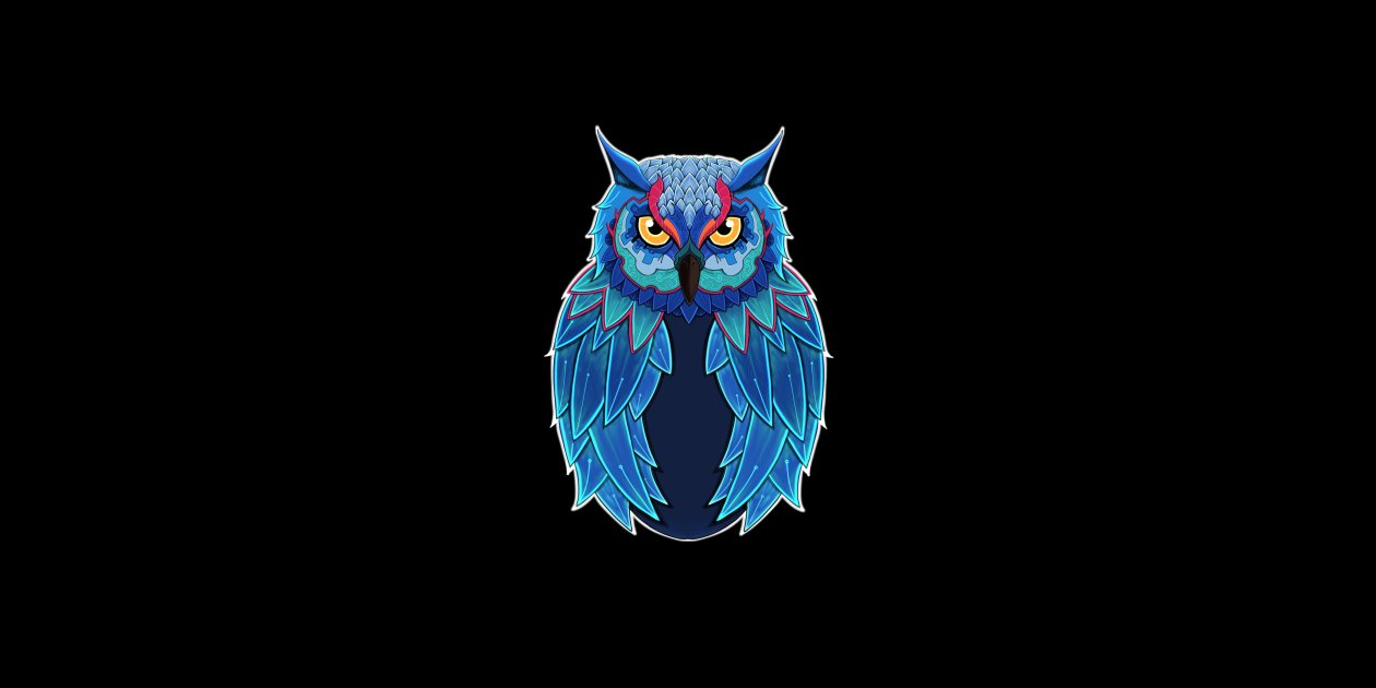 Owl Dark 5k