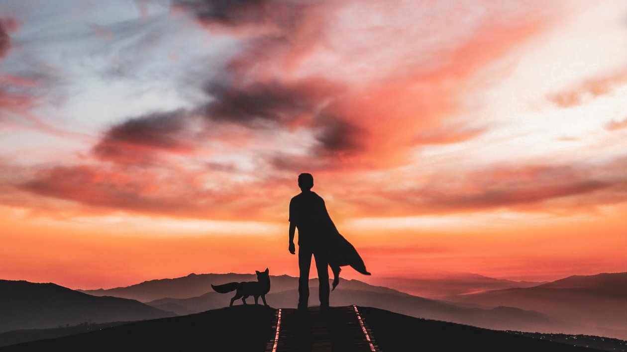 The Little Prince Silhouette
