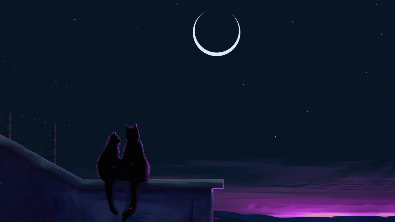 Cats Like The Night