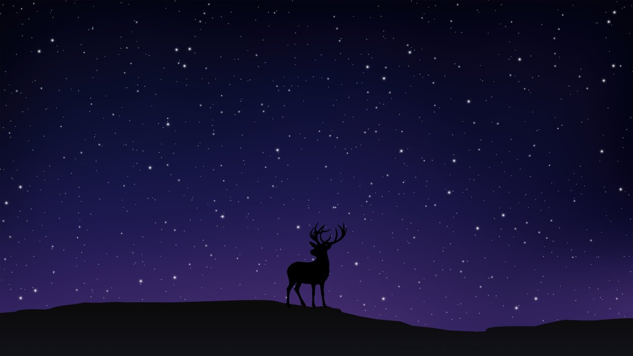 Night Sky Deer Minimal 5k