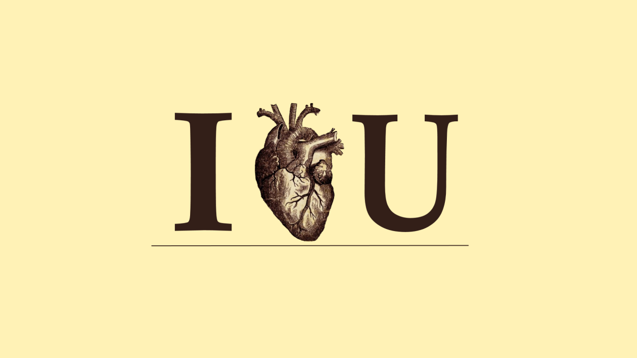 Love Anatomy