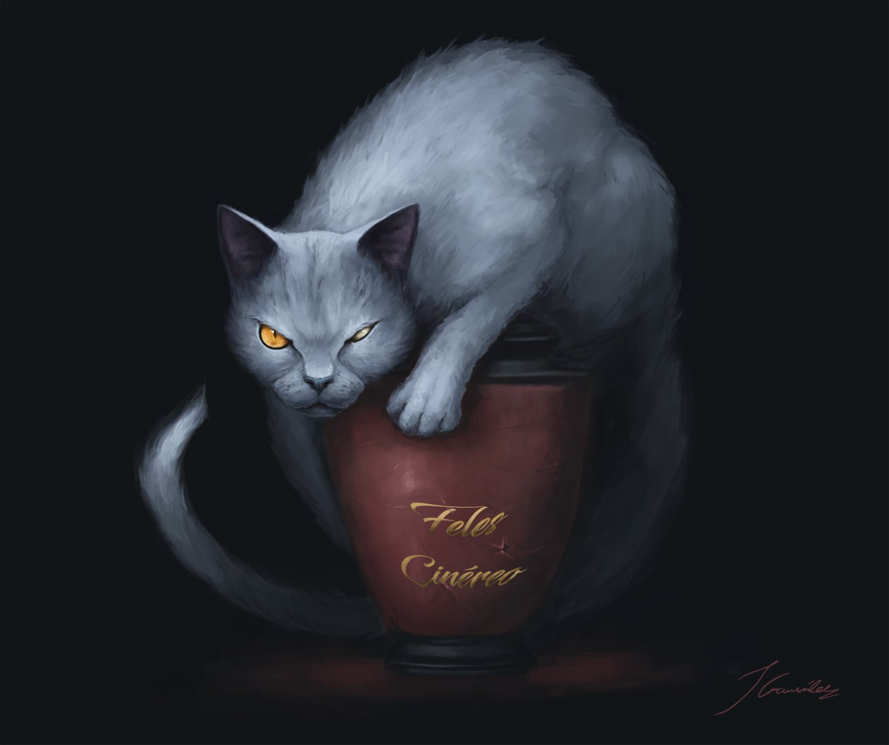 Feles Cinereo Cat