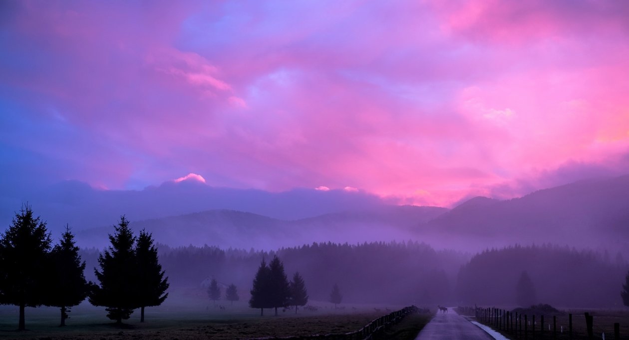 Misty Pink Sunset