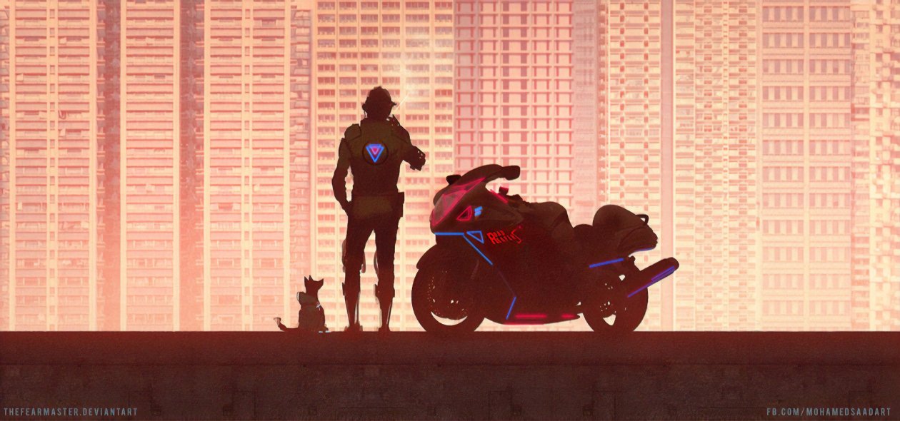 Road Reaper Biker