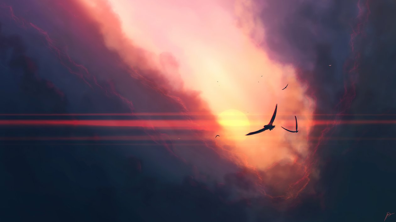Birds Sunset Clouds 4k