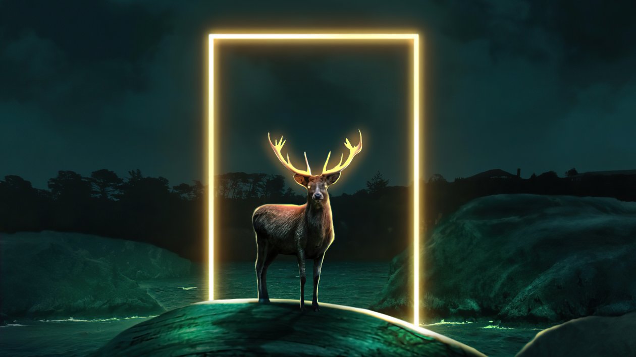 Deer Glow Door 5k