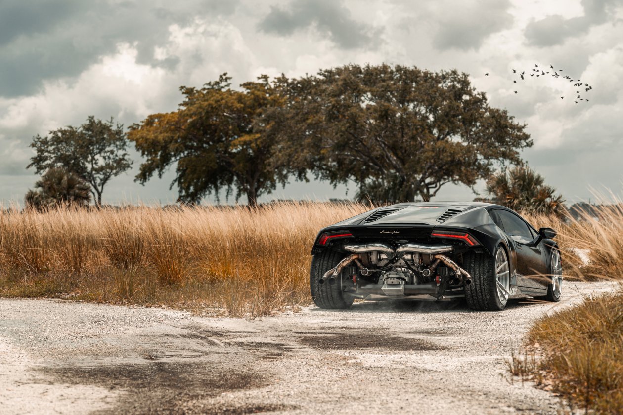 Bareback Huracan 8k