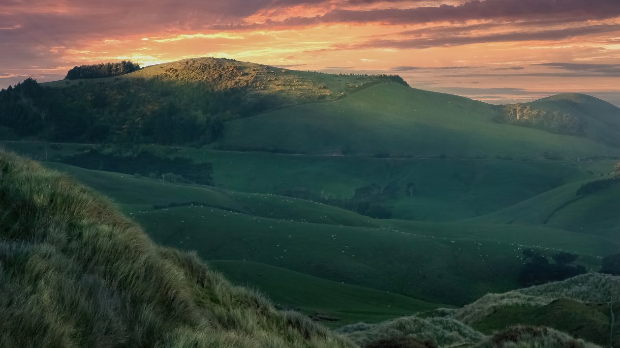 Dunedin New Zealand 4k