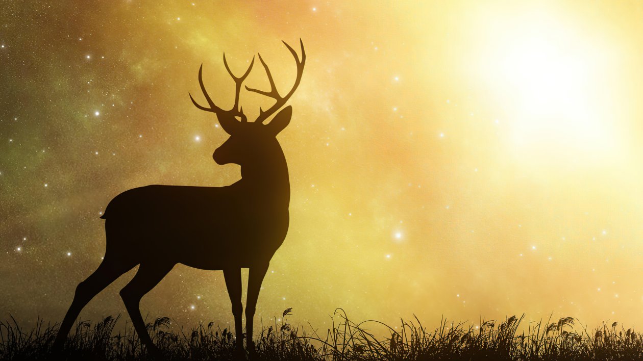 Reindeer In Yellow Planet 5k