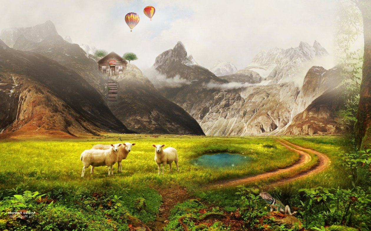 Dream Way
