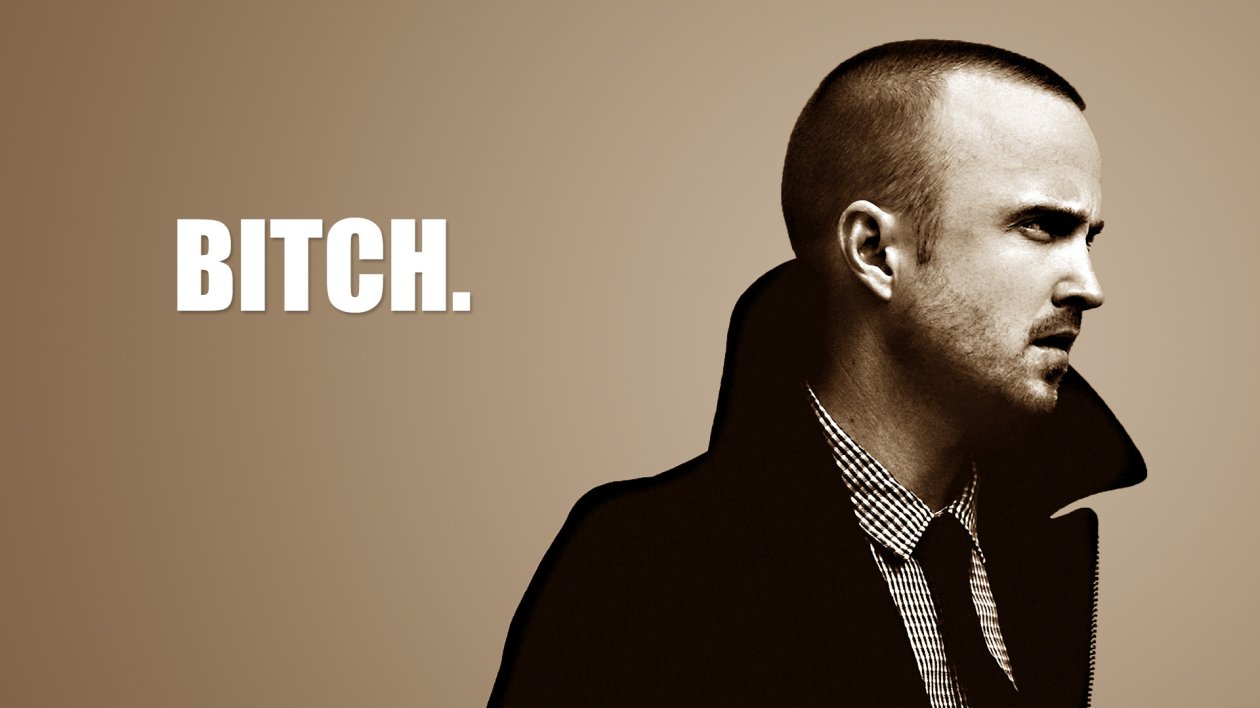 Jesse Pinkman Bitch