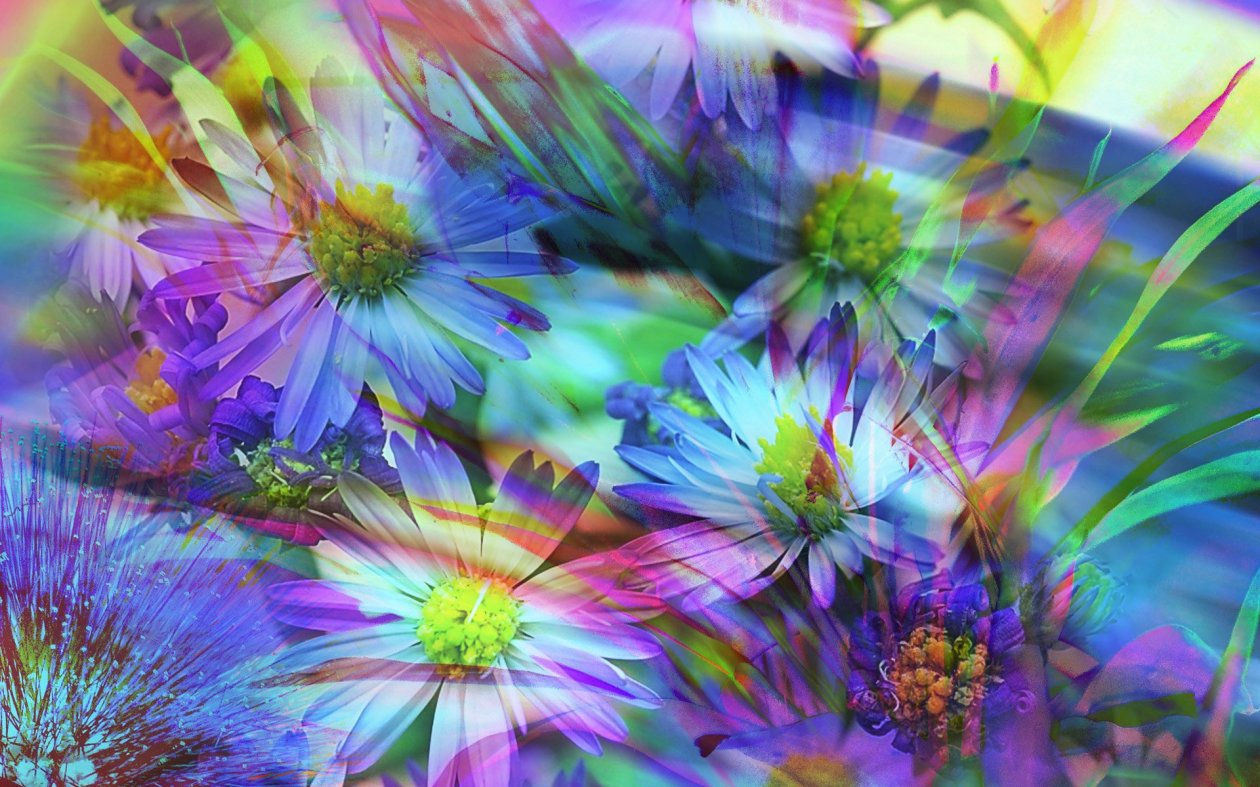 Spring Flowers Abstract