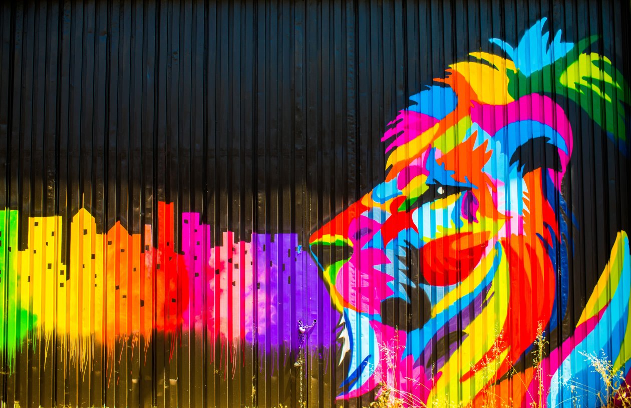 Lion Graffiti 5k