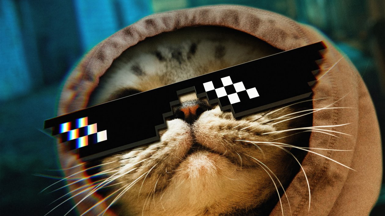 Cat Thug Life