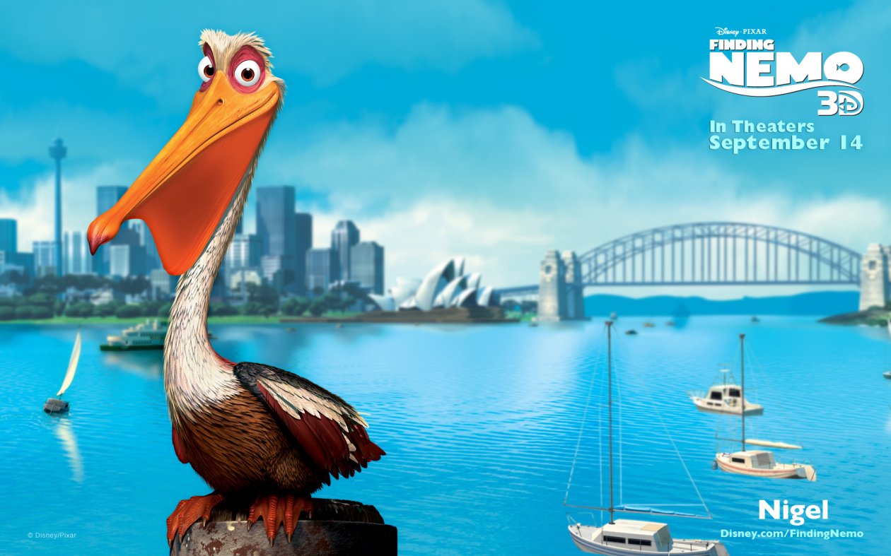 Pelican Finding Nemo
