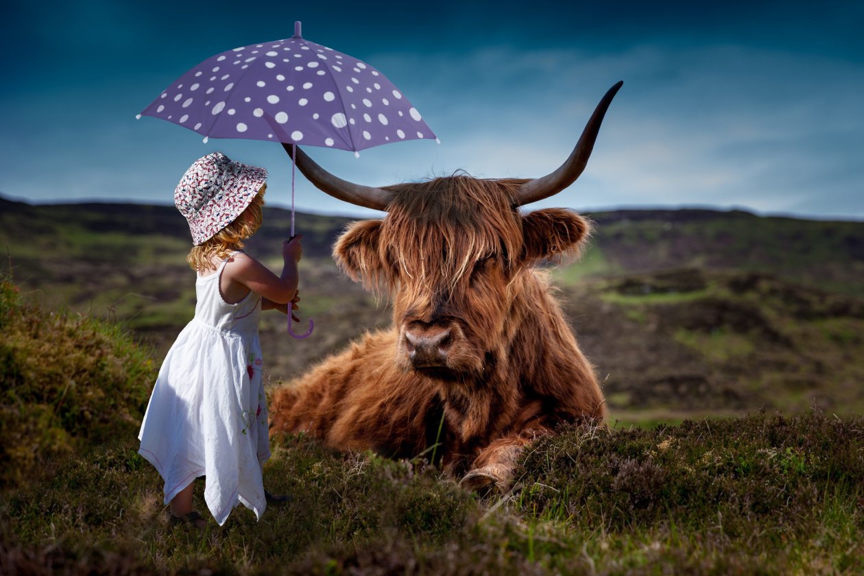 Child Cow Umbrella 5k