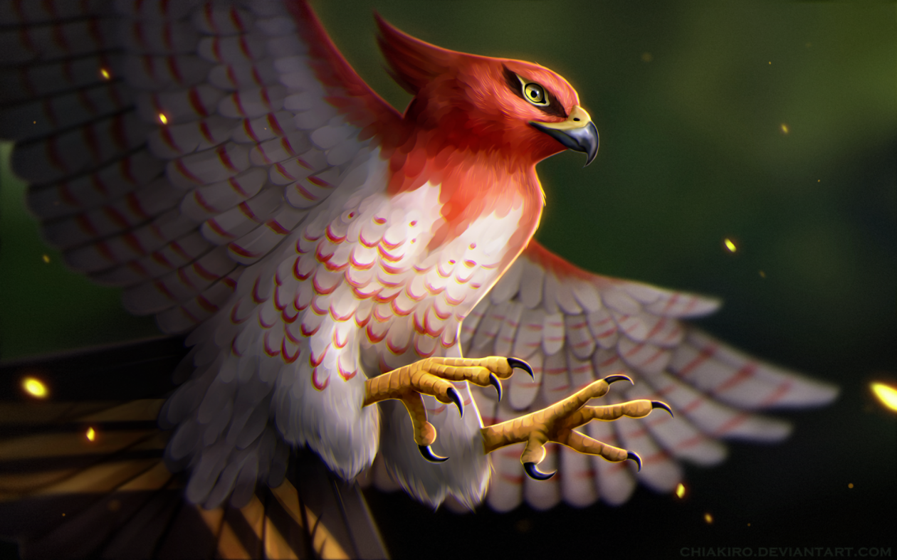 Talonflame Pokemon