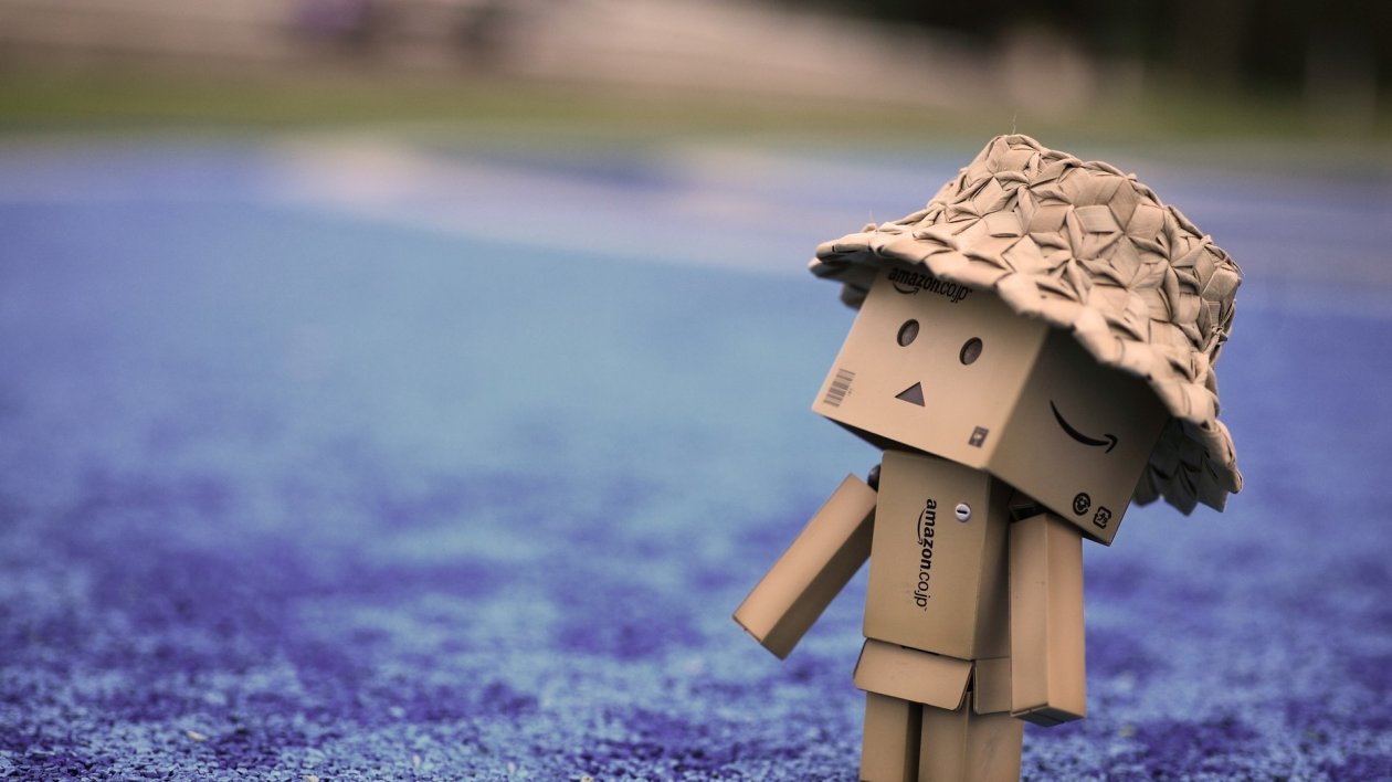 Danbo Cardboard Hat Walk