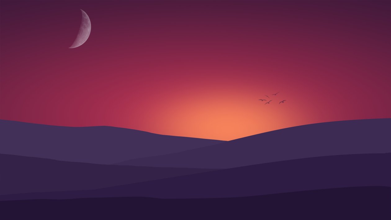 Birds Flying Towards Sunset Landscape Minimalist 4k