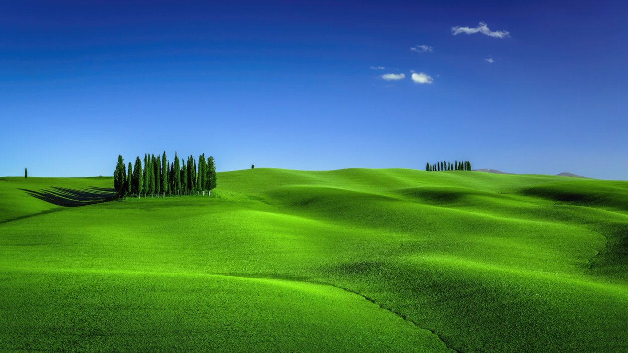 Green Meadows In Tuscany Landscape Scenery 4k