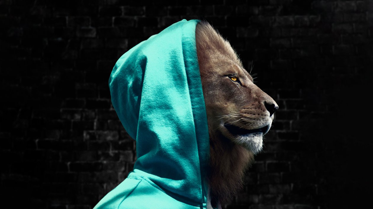 King Of Jungle In Hoodie