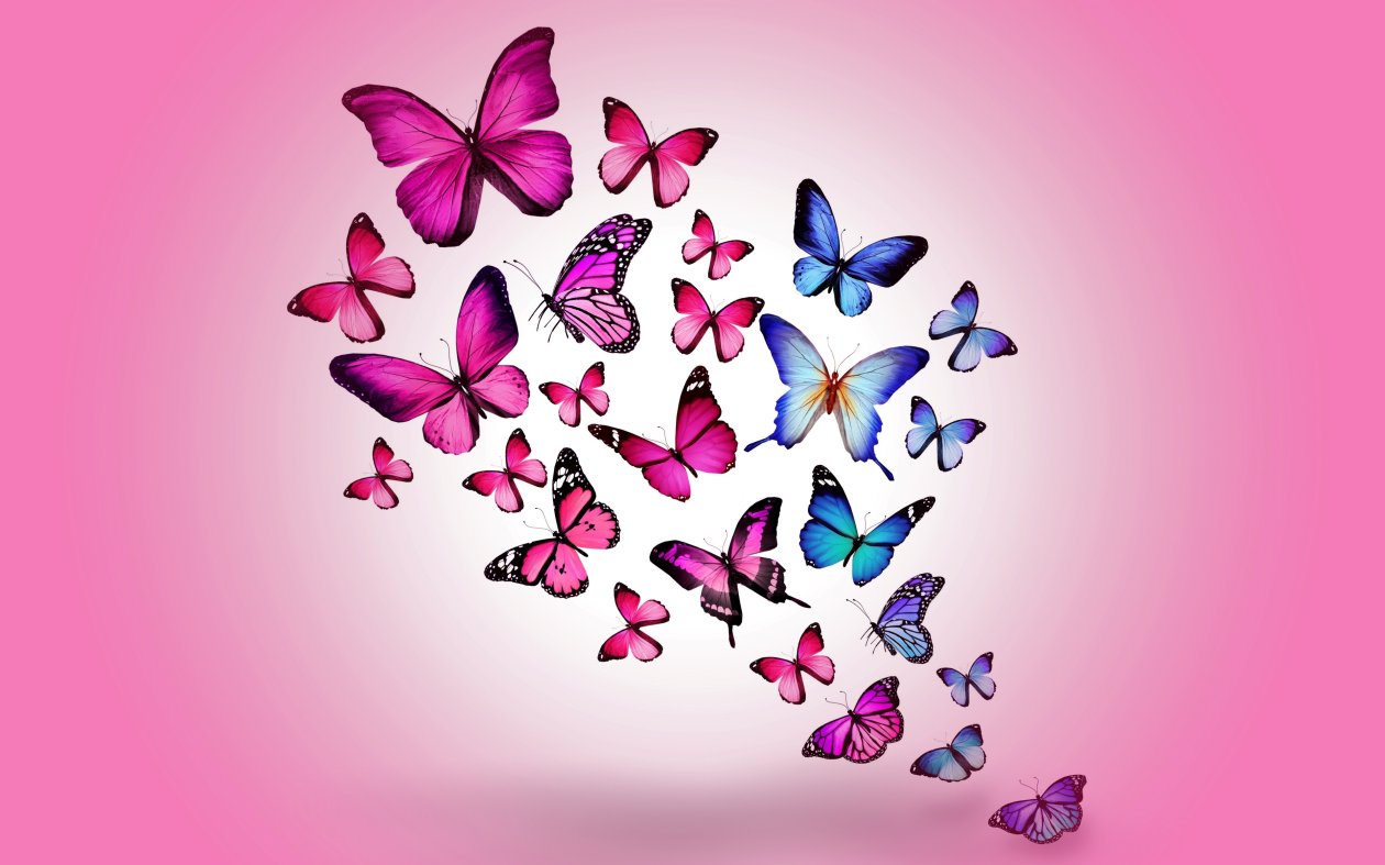 Butterfly Art 2