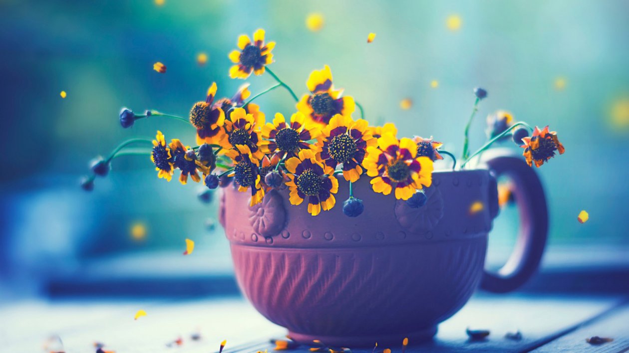 Flowers In Cup