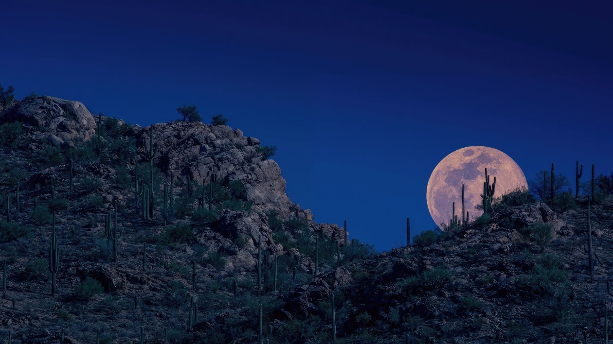 Moon Appears In The Night Sky