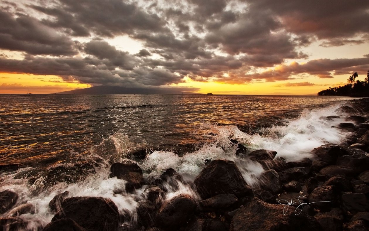 Beach Nature