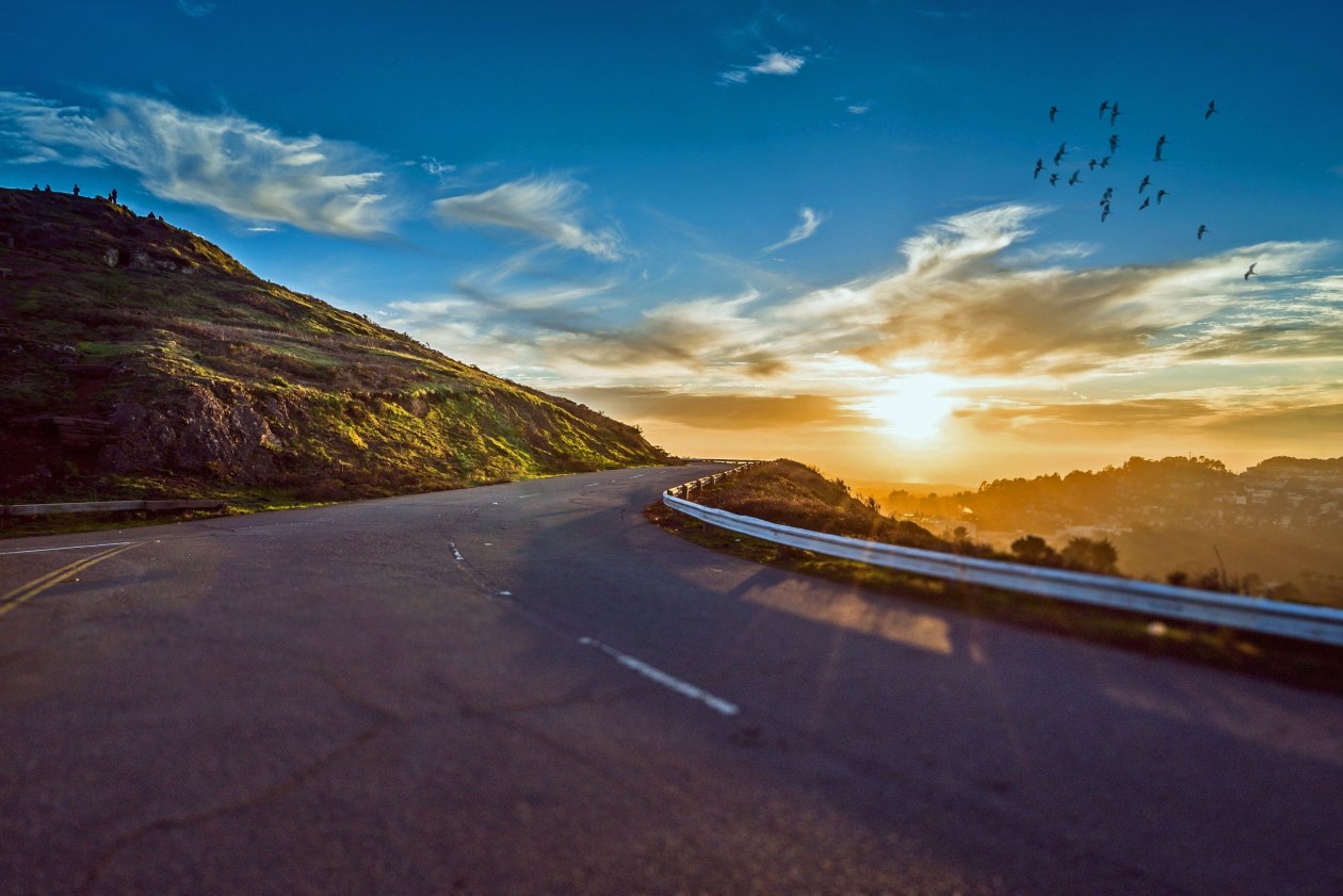 Mountain Road Bird Flying Morning