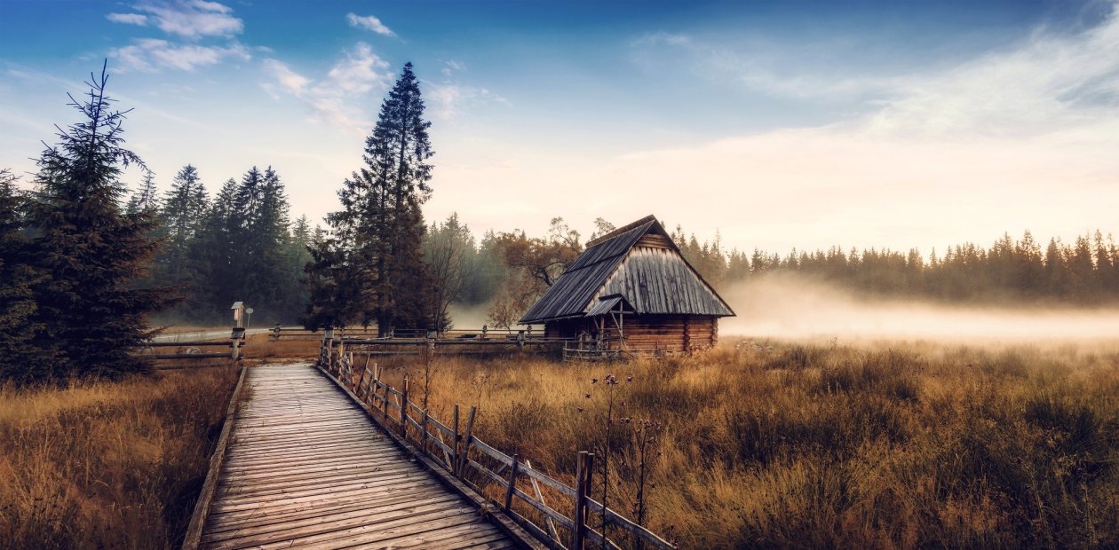 Dry Grass Landscape