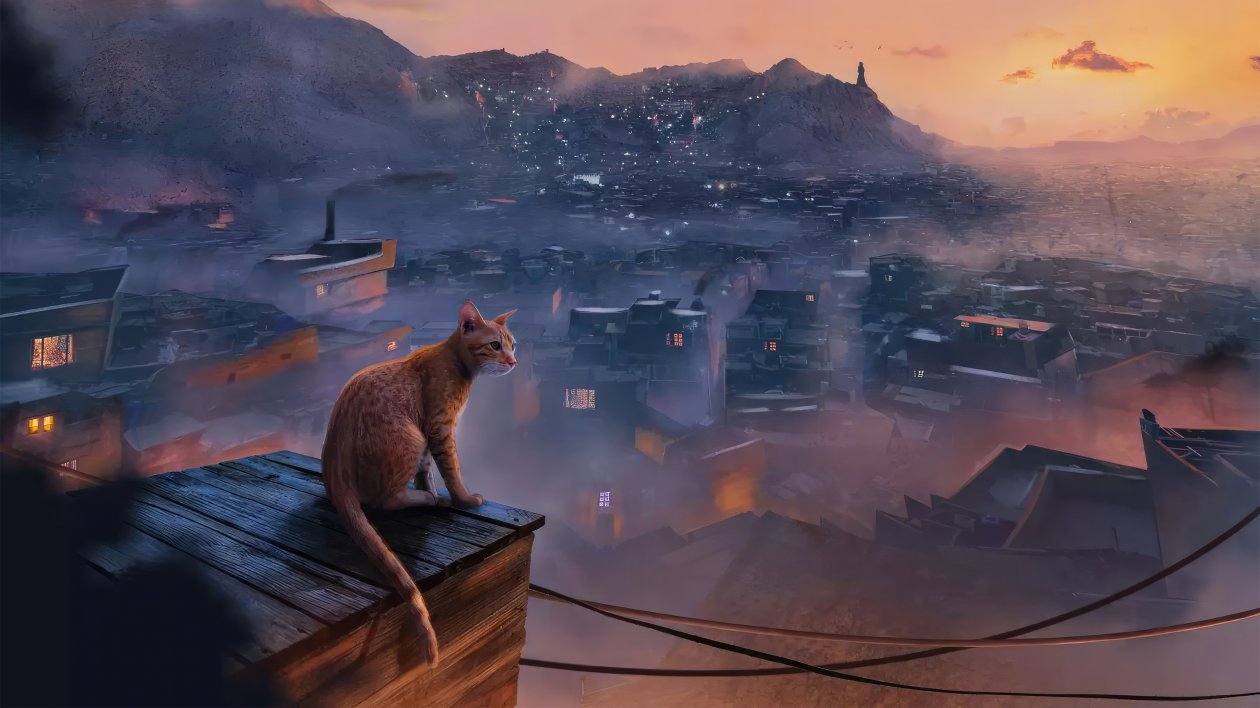 Stray Cat