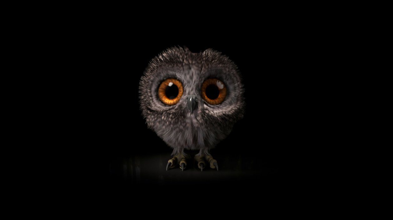 Pinfeather Fluffy Owl 4k