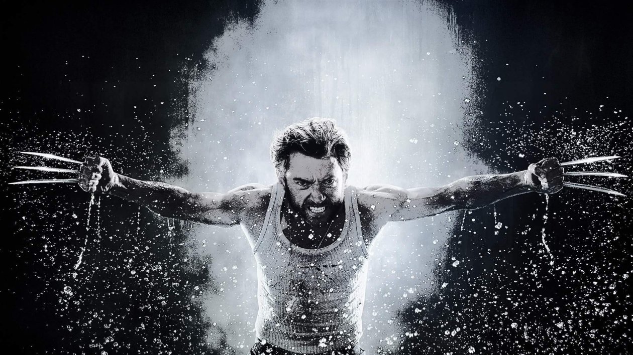 Wolverine Sketch Art