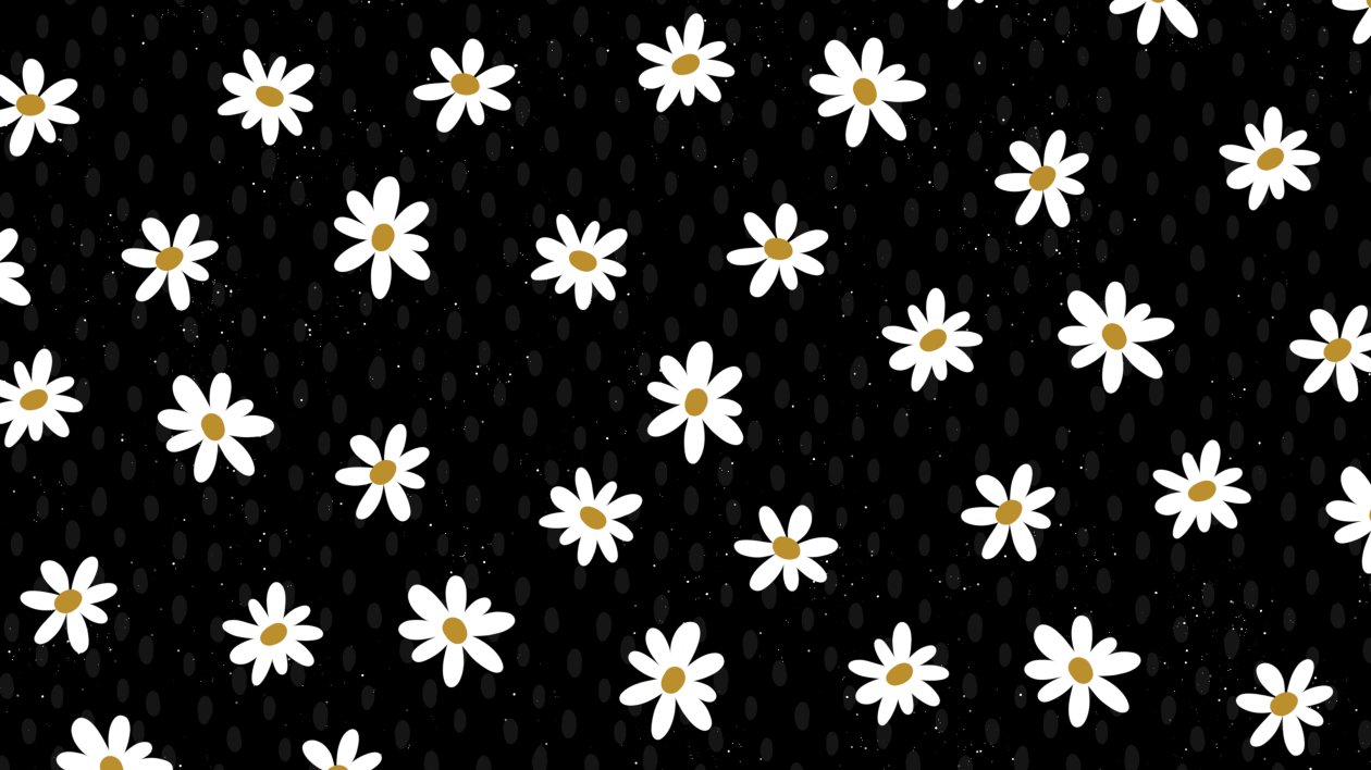 Daisy Flower Pattern Abstract 4k