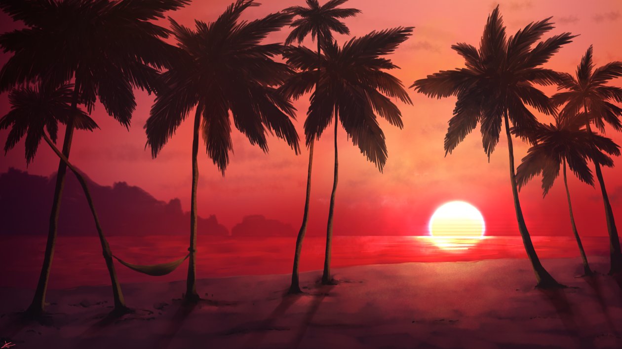 Warm Sunset 4k
