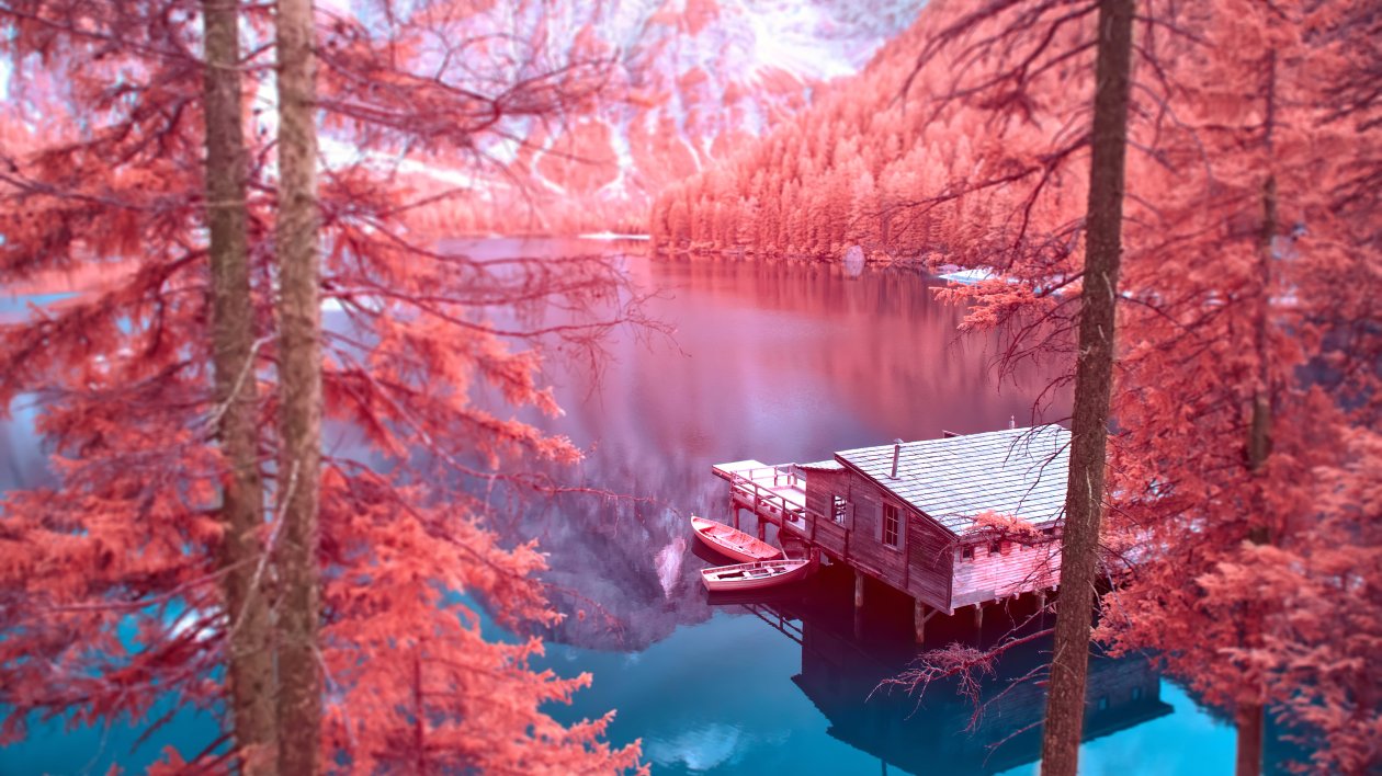 Autumn Nature 4k
