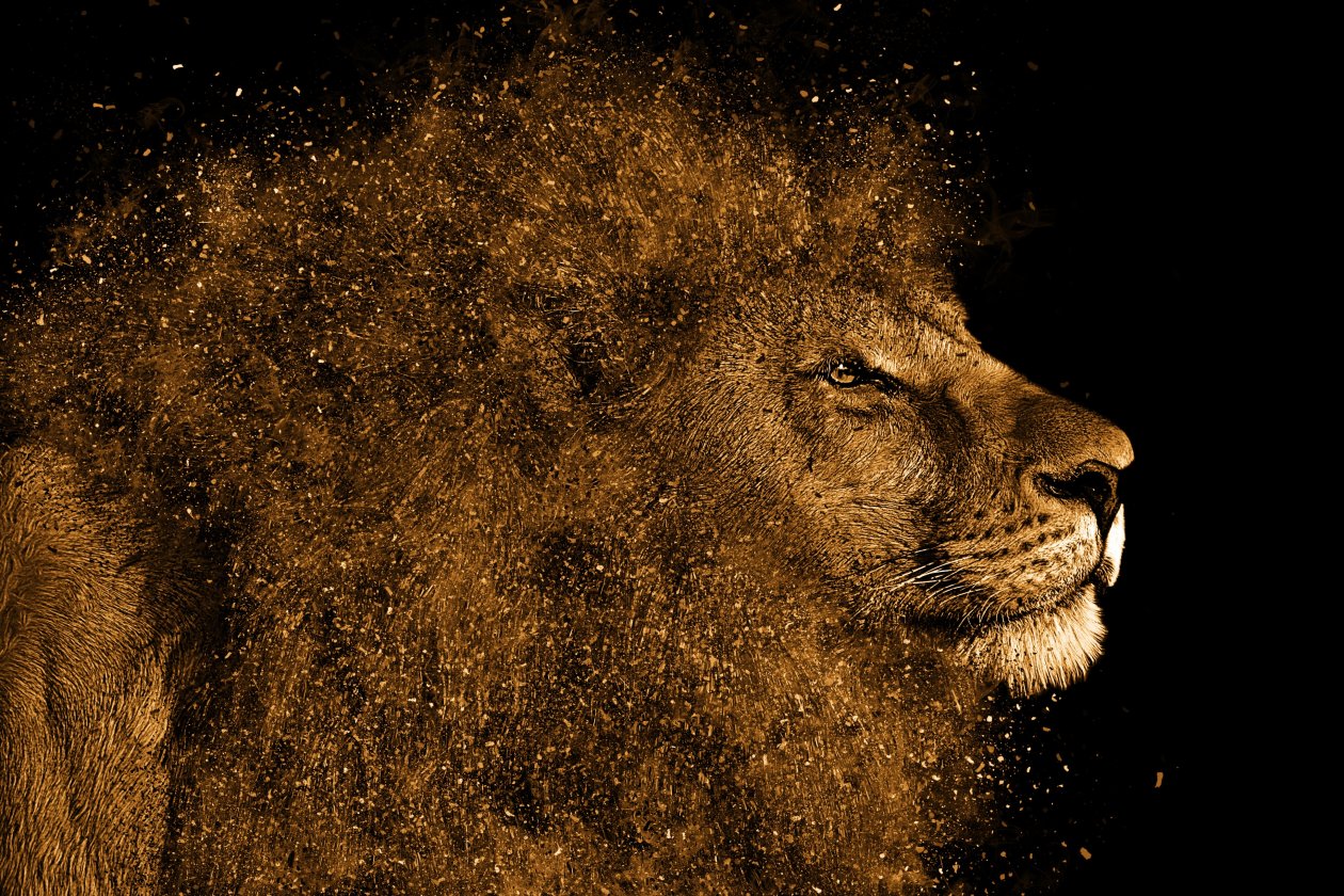 Lion Art 4k