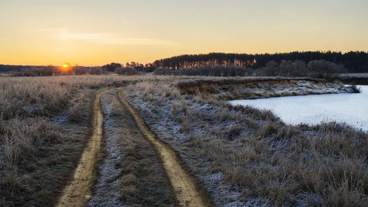 Field Path