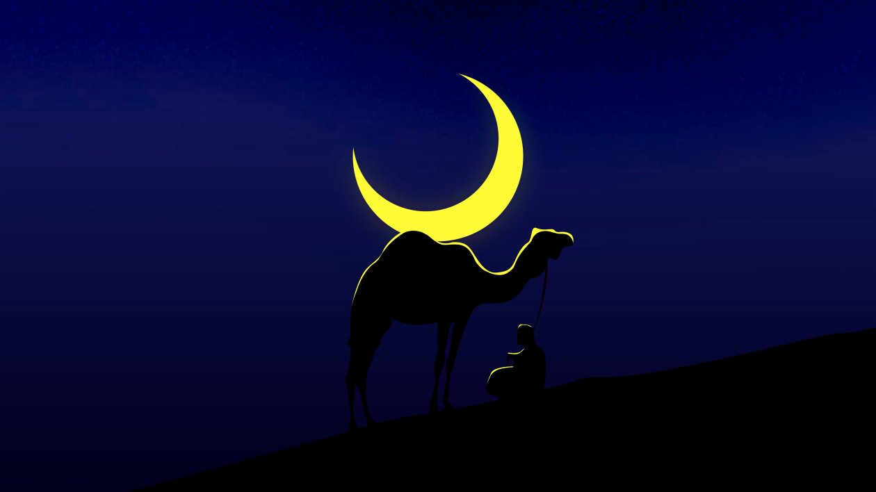 Camel And Master Minimal 5k