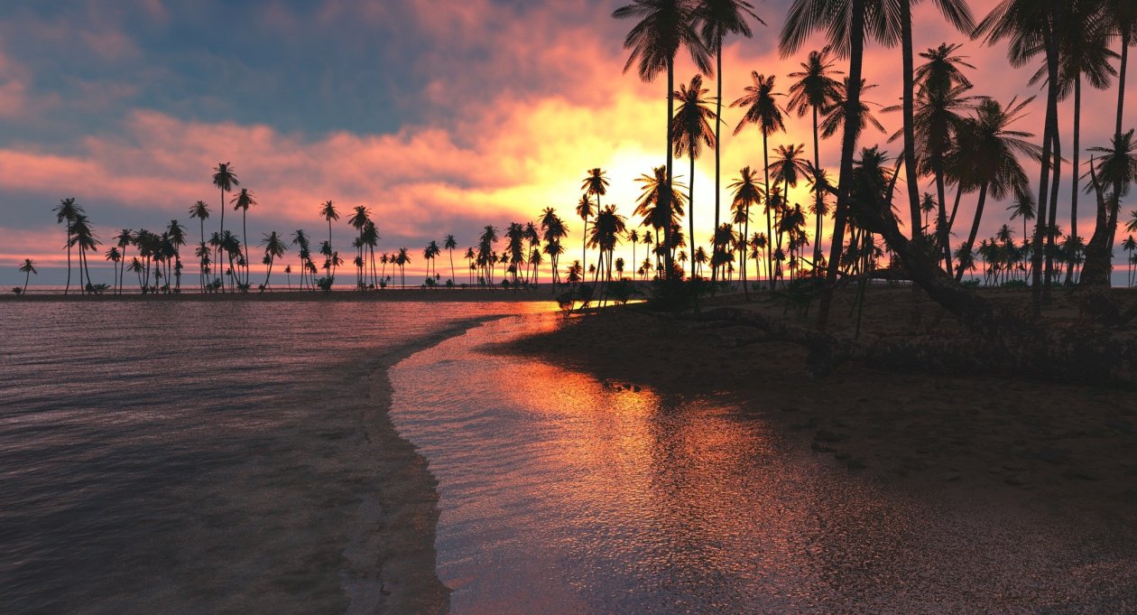 Palm Trees Sunset Sea
