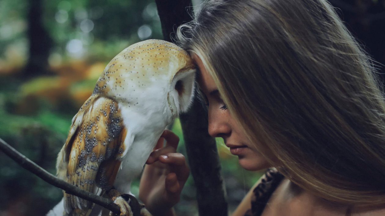 Girl With Owl