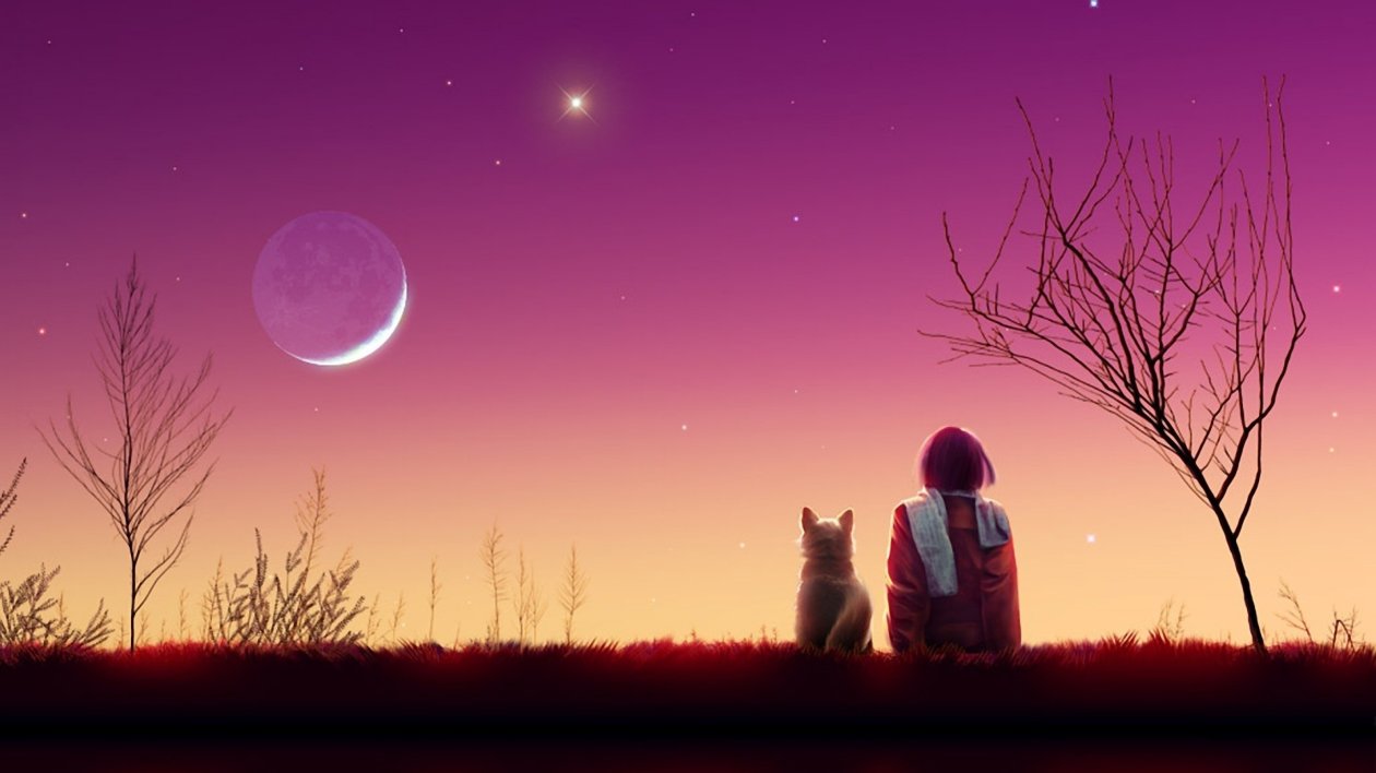 Anime Girl Sunset