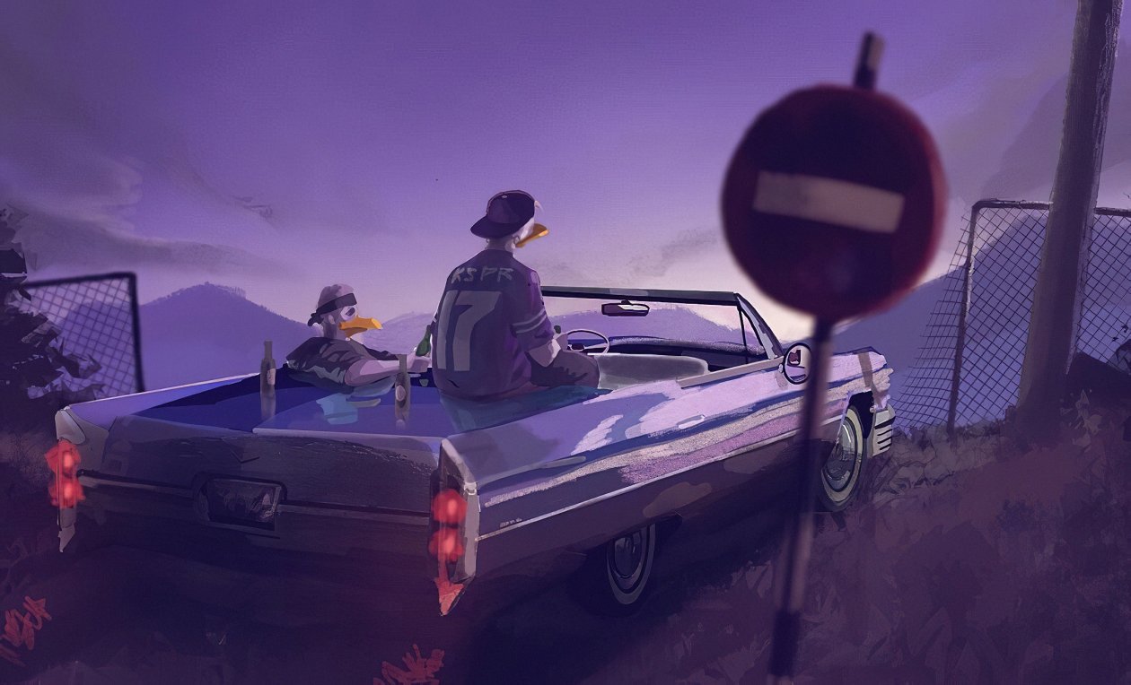 Chill Duck Car